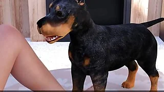 xnxx 33